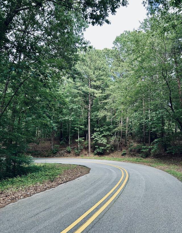 A winding forest road curving out of sight